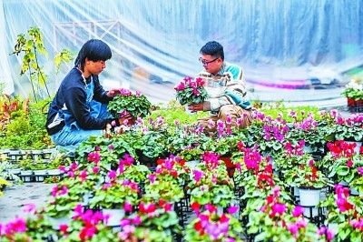 大学生"农创园"开启花卉销售季.新华社发